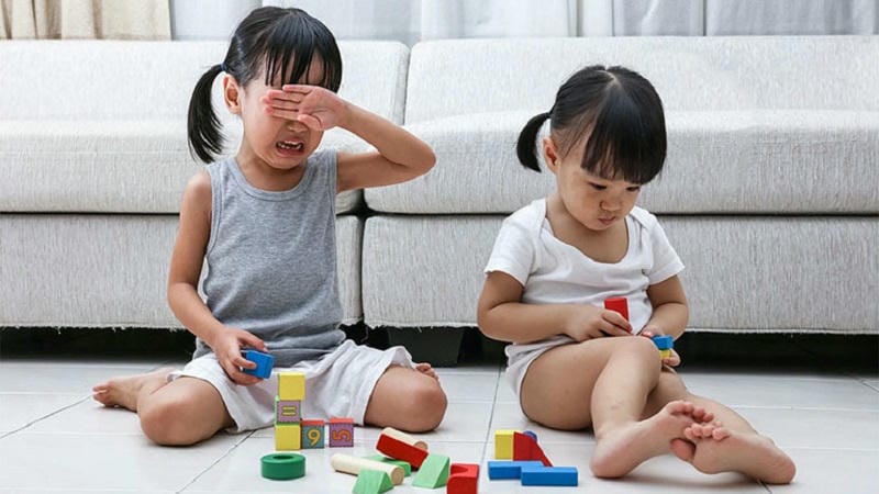 Tại Sao Trẻ Tự Kỷ Lại Có Hành Vi Đánh Bạn?
