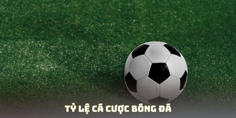 Những chỉ số "vàng" không thể bỏ qua